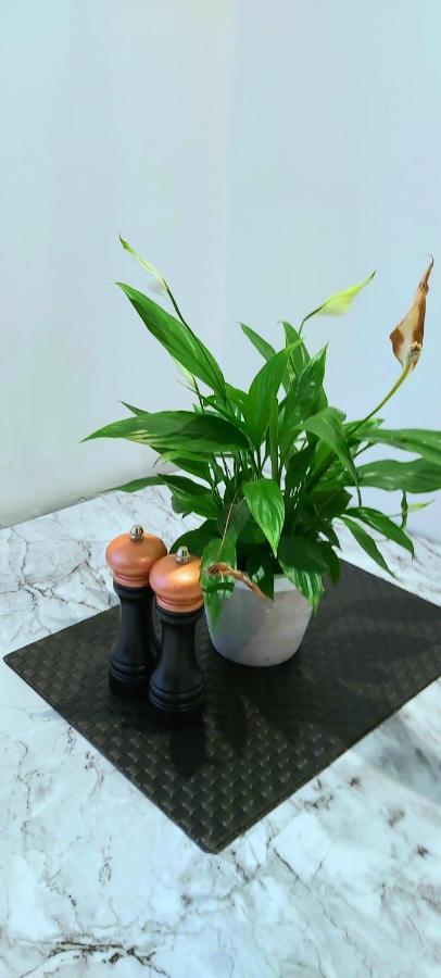 Great - Netflix, Wifi, Digital Tv Apartment